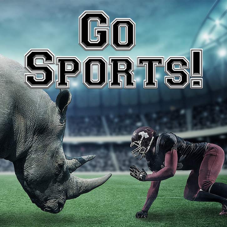 Go Sports!